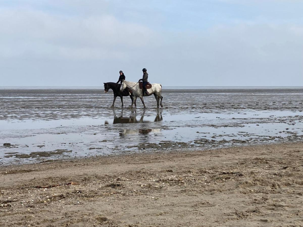 Ferienhaus Nordstrand هوروميرسيال المظهر الخارجي الصورة